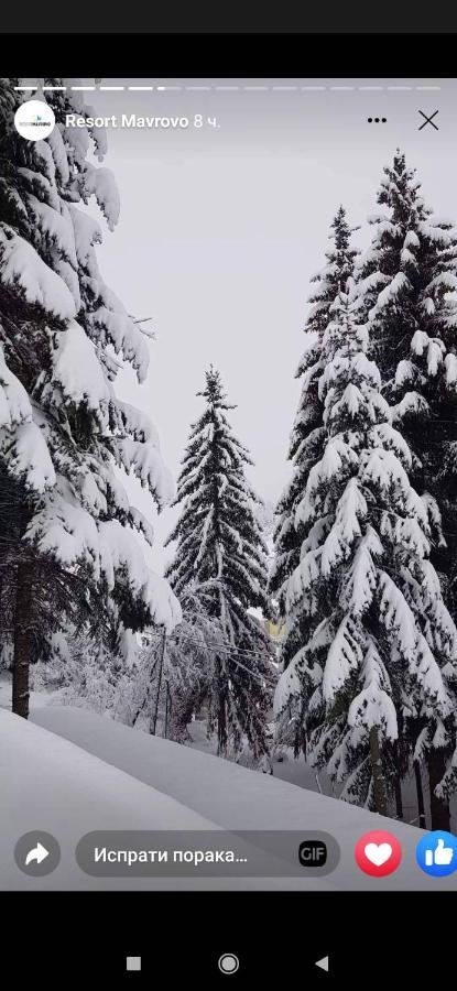 Mavrovo Forest Apartments 외부 사진