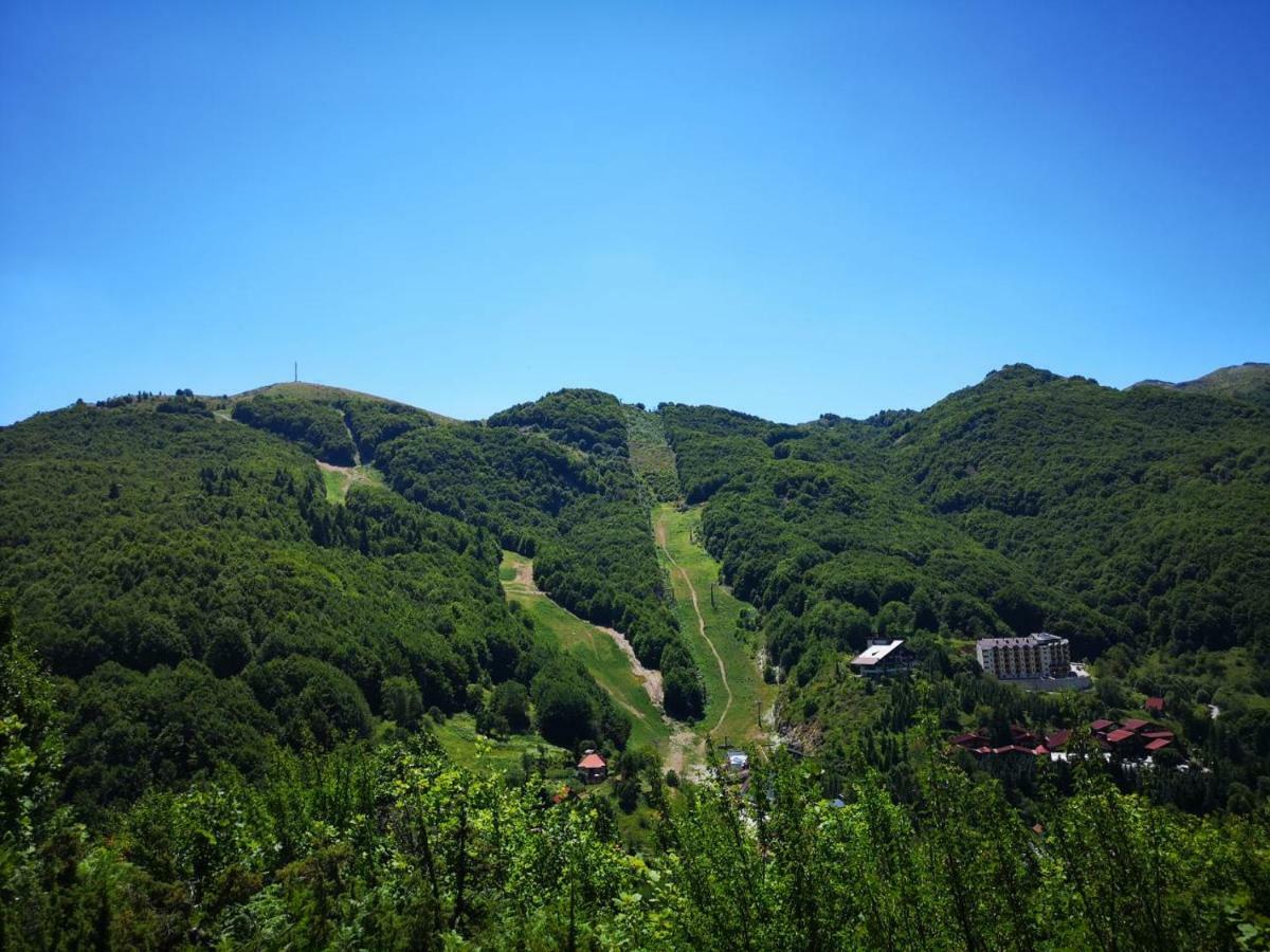 Mavrovo Forest Apartments 외부 사진